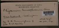 Image Associated With the Occurence